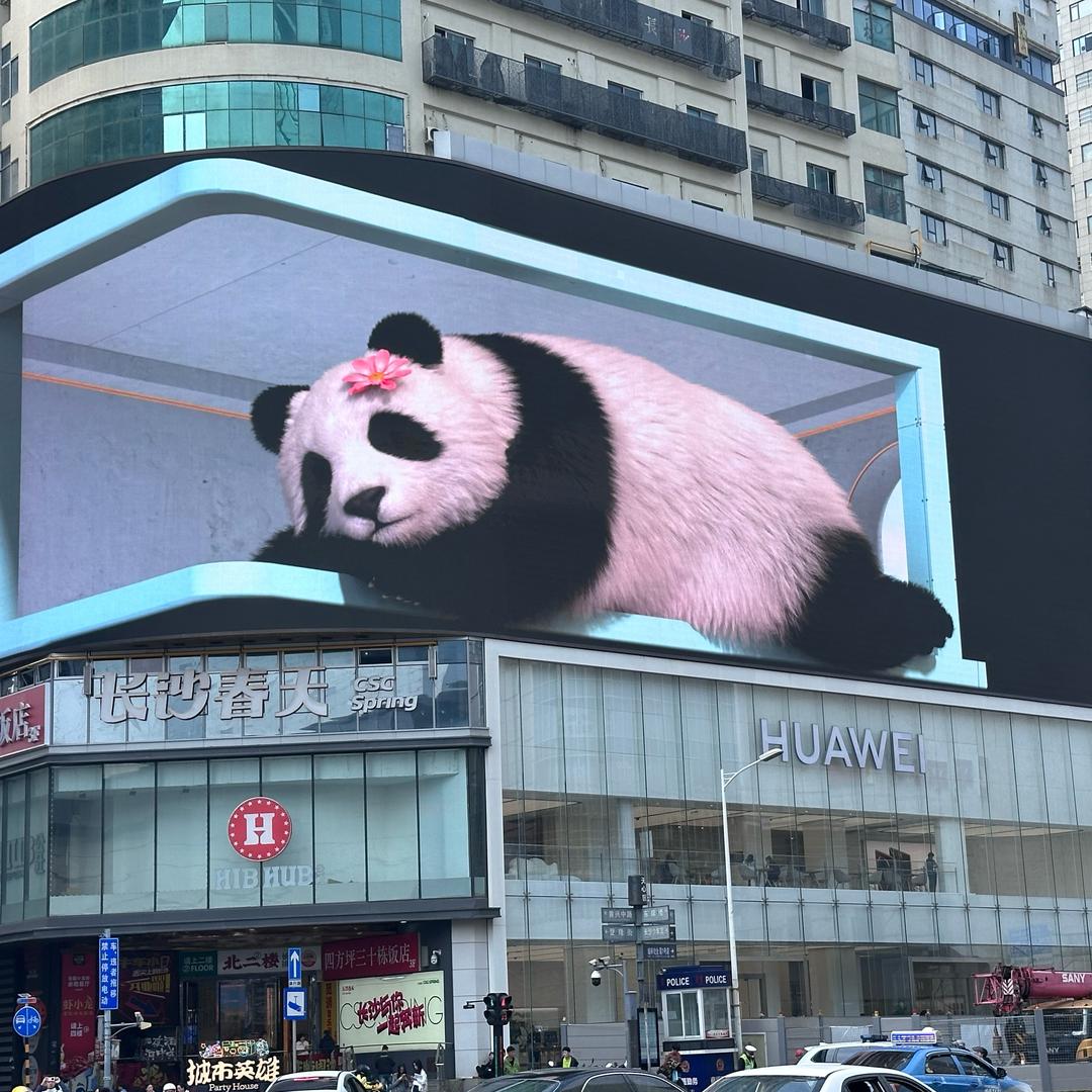 燃健身 y