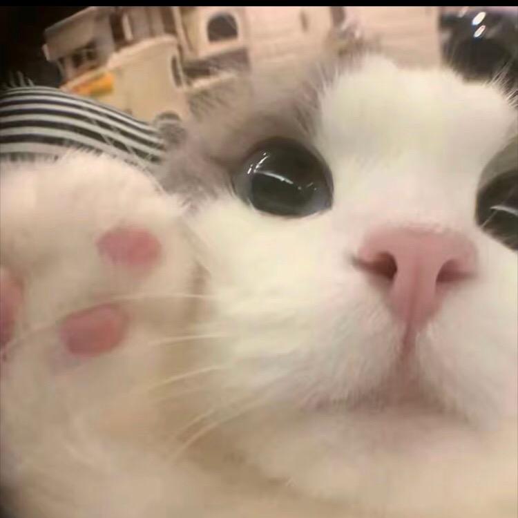 氛围感