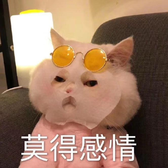 小白同學