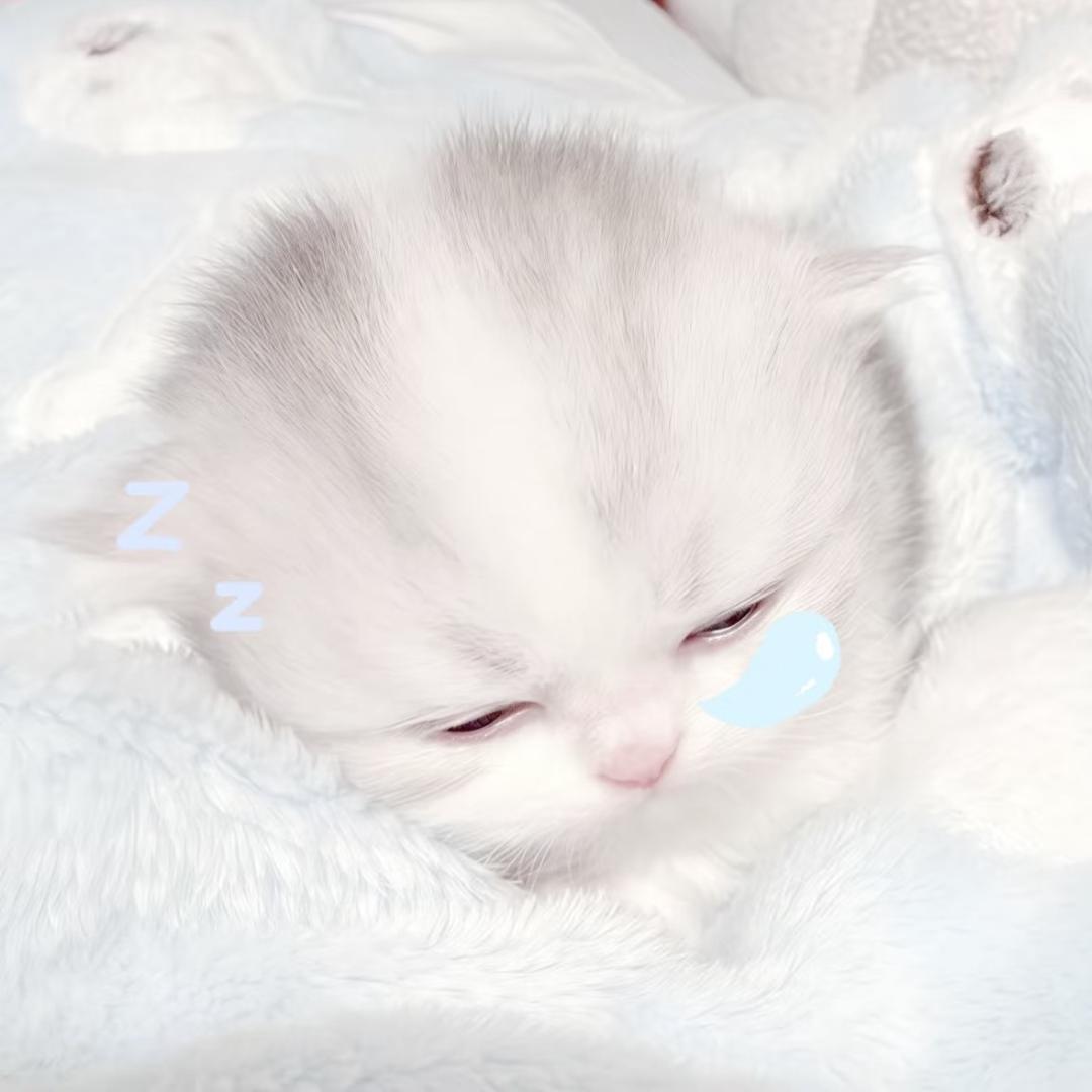 呆呆小羊咩
