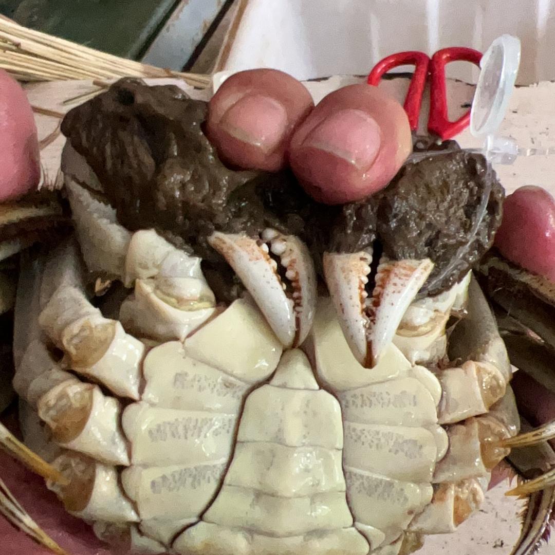 湖鑫盛