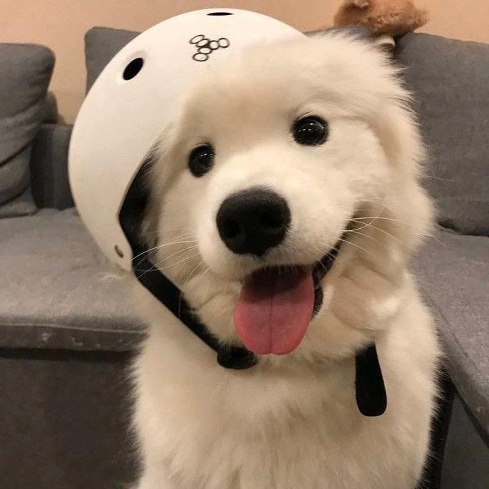 陳
