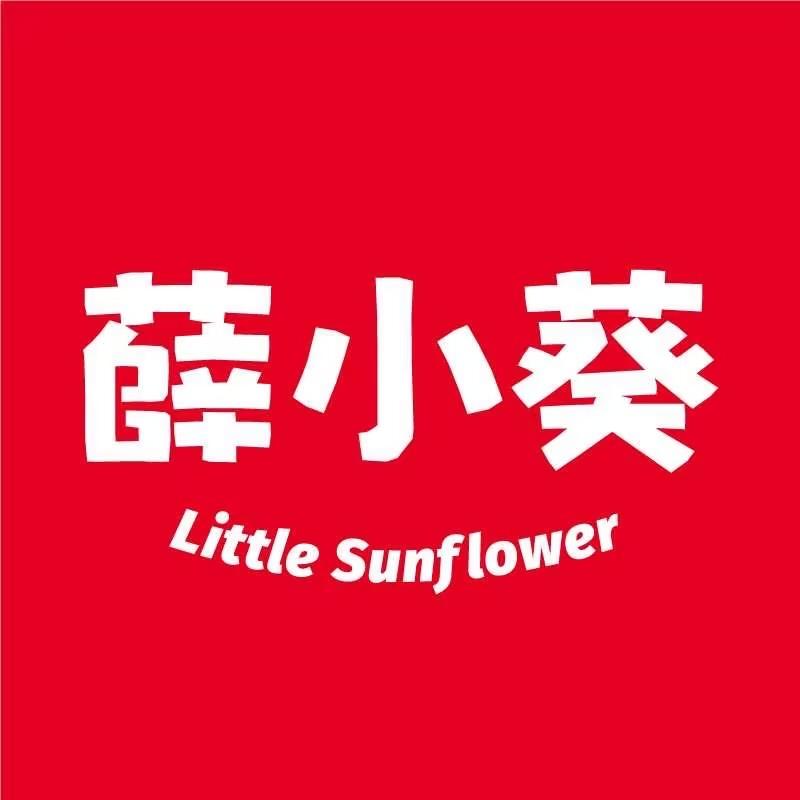 薛小葵食品
