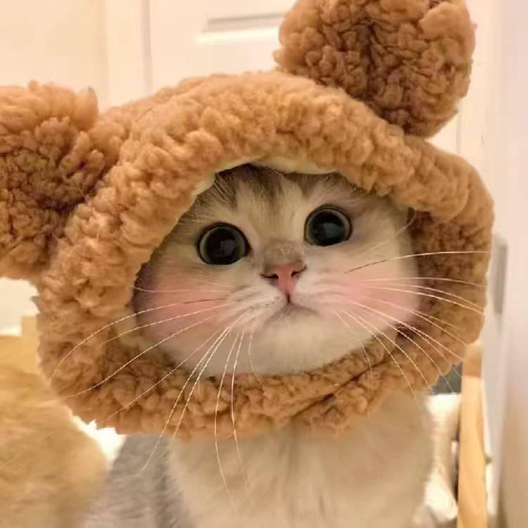 小雪声