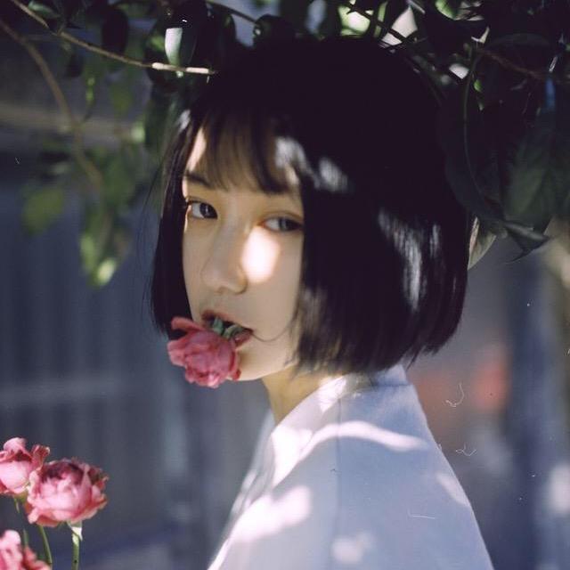 ′凤兮凤兮归故乡 丶