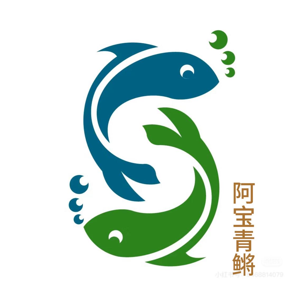 阿宝鳉鱼