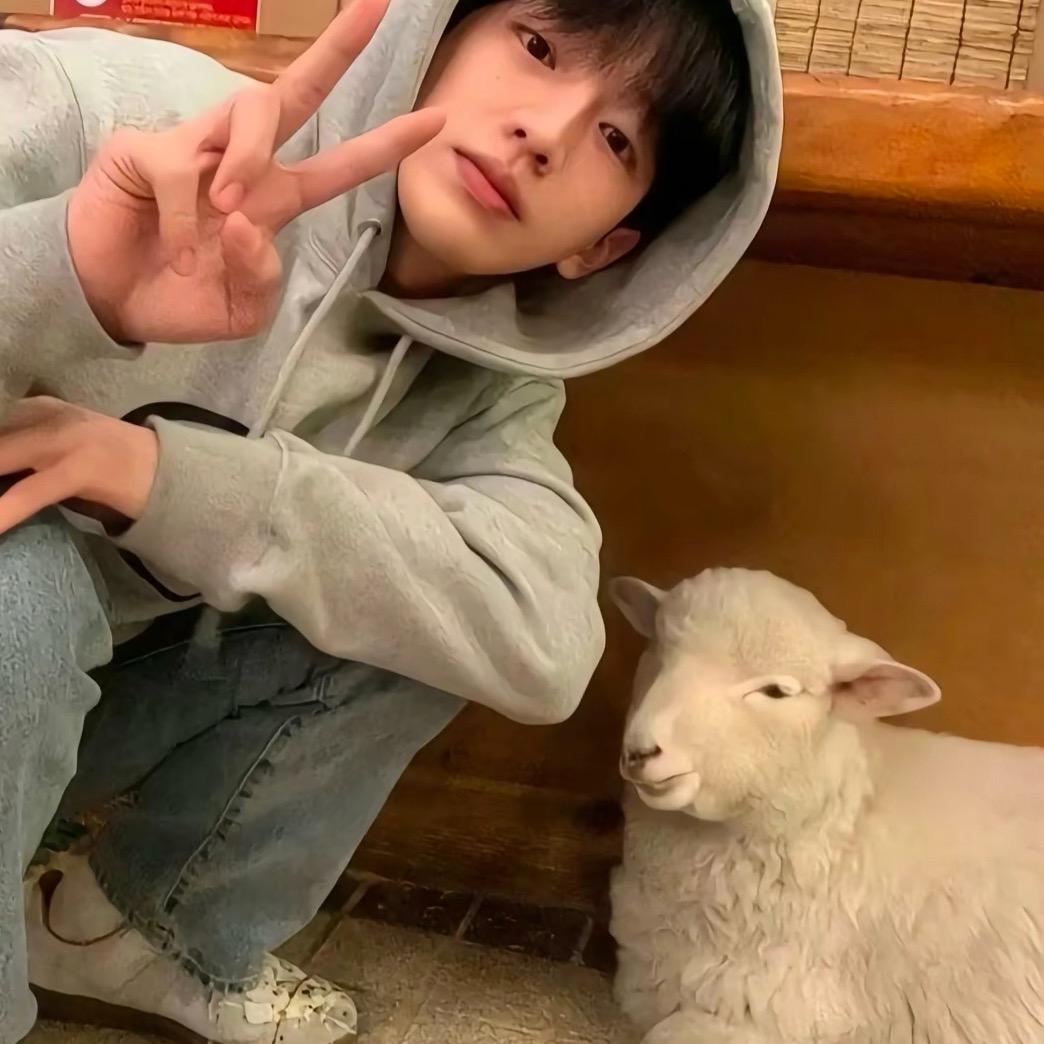 李星云