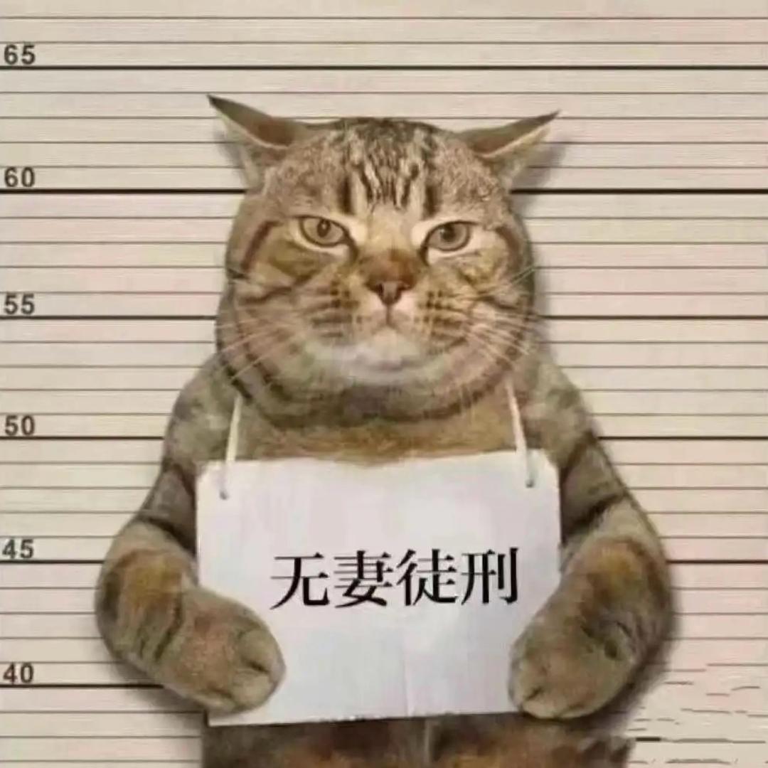 贴车衣的大魔王🥰