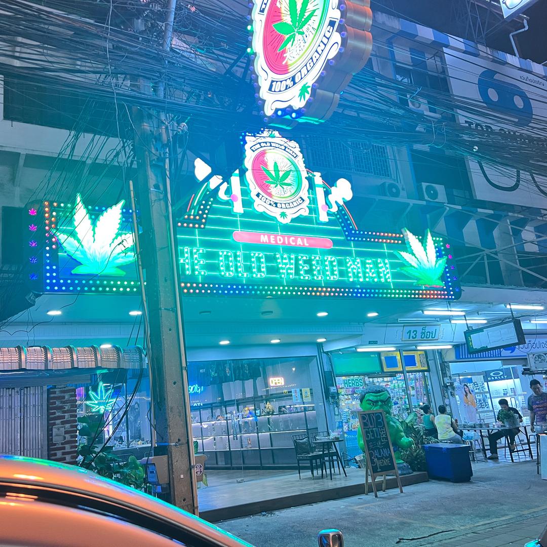 杨某
