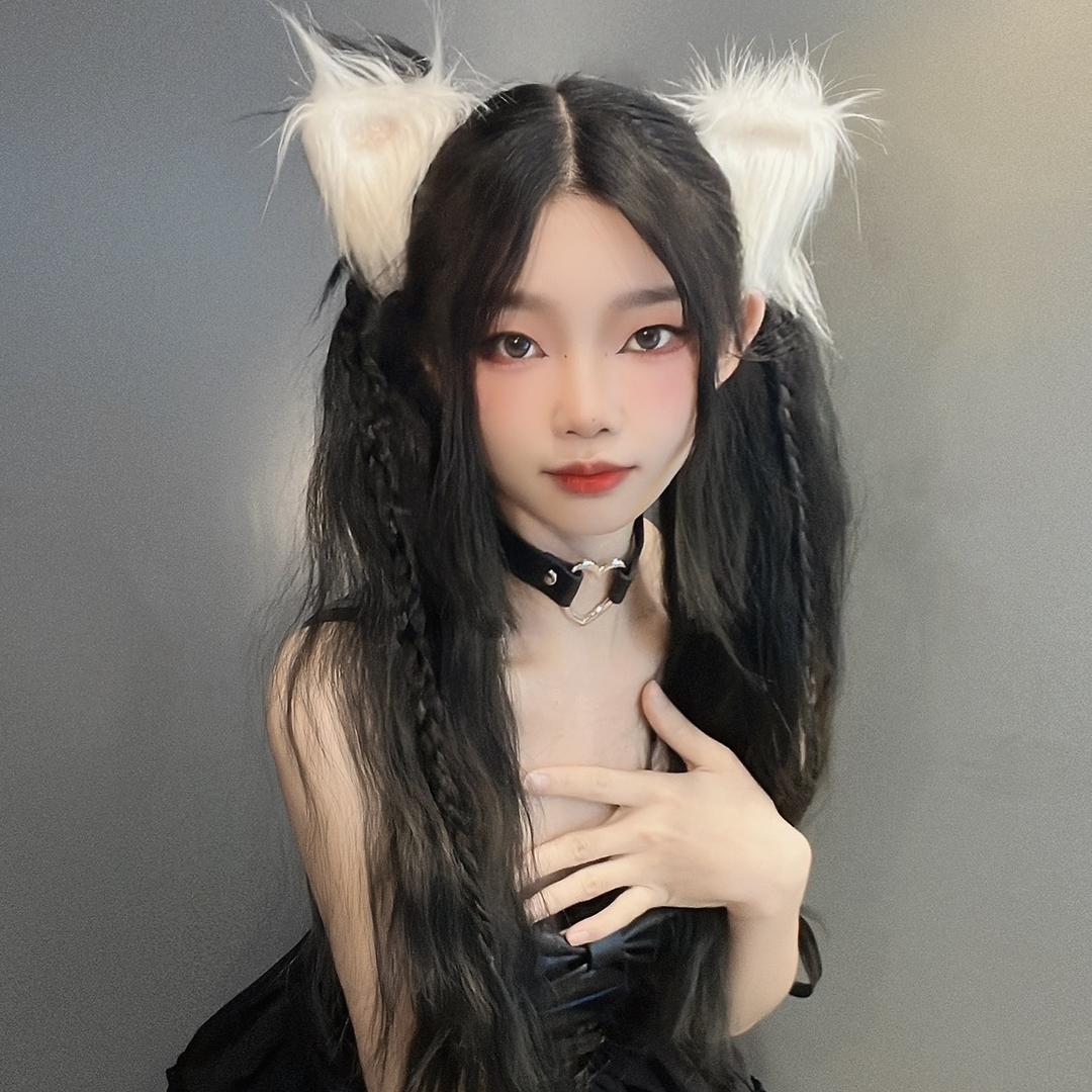 崽崽超困🐱