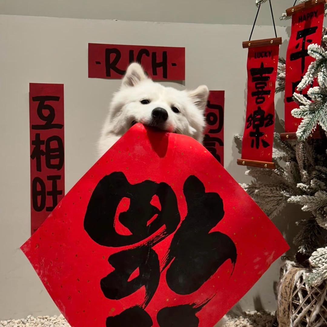 三亚阿豪顶奢旅游定制（PW）