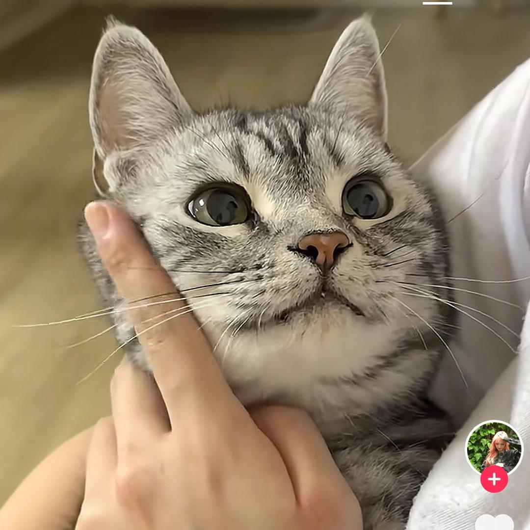 晴天☀️熙