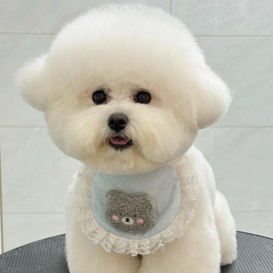 叶子姐姐