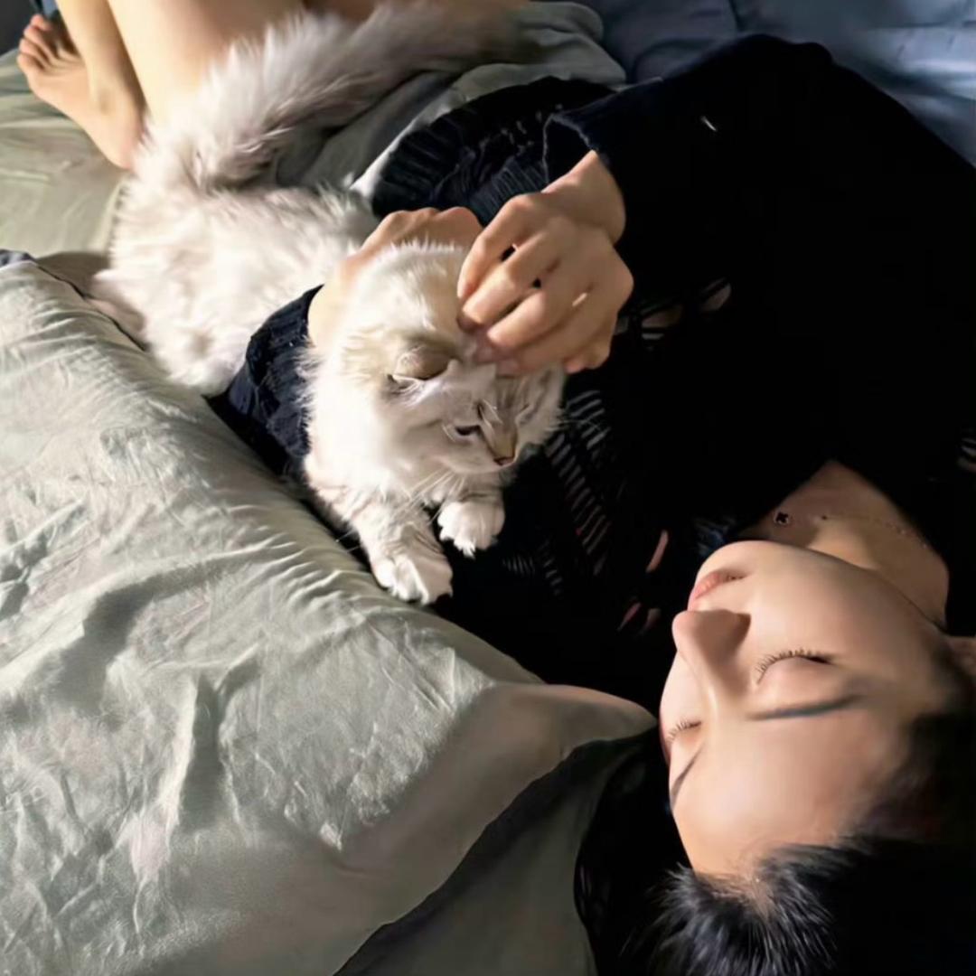 -QQ爱