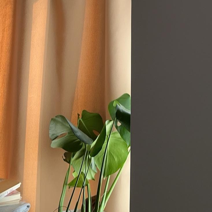 穿过这片盛大的雨季