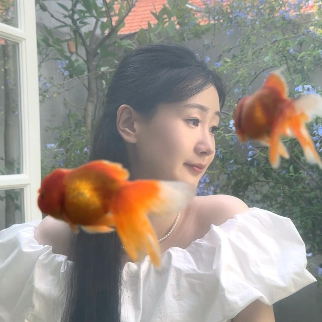 梓萌洋.