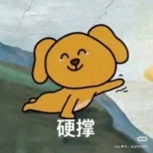 小米锅巴驾到