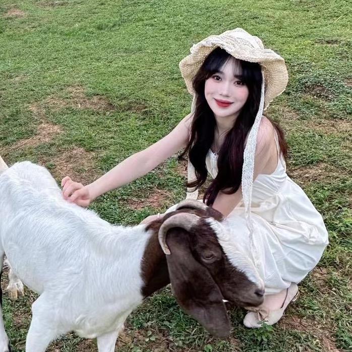 媛不是圆