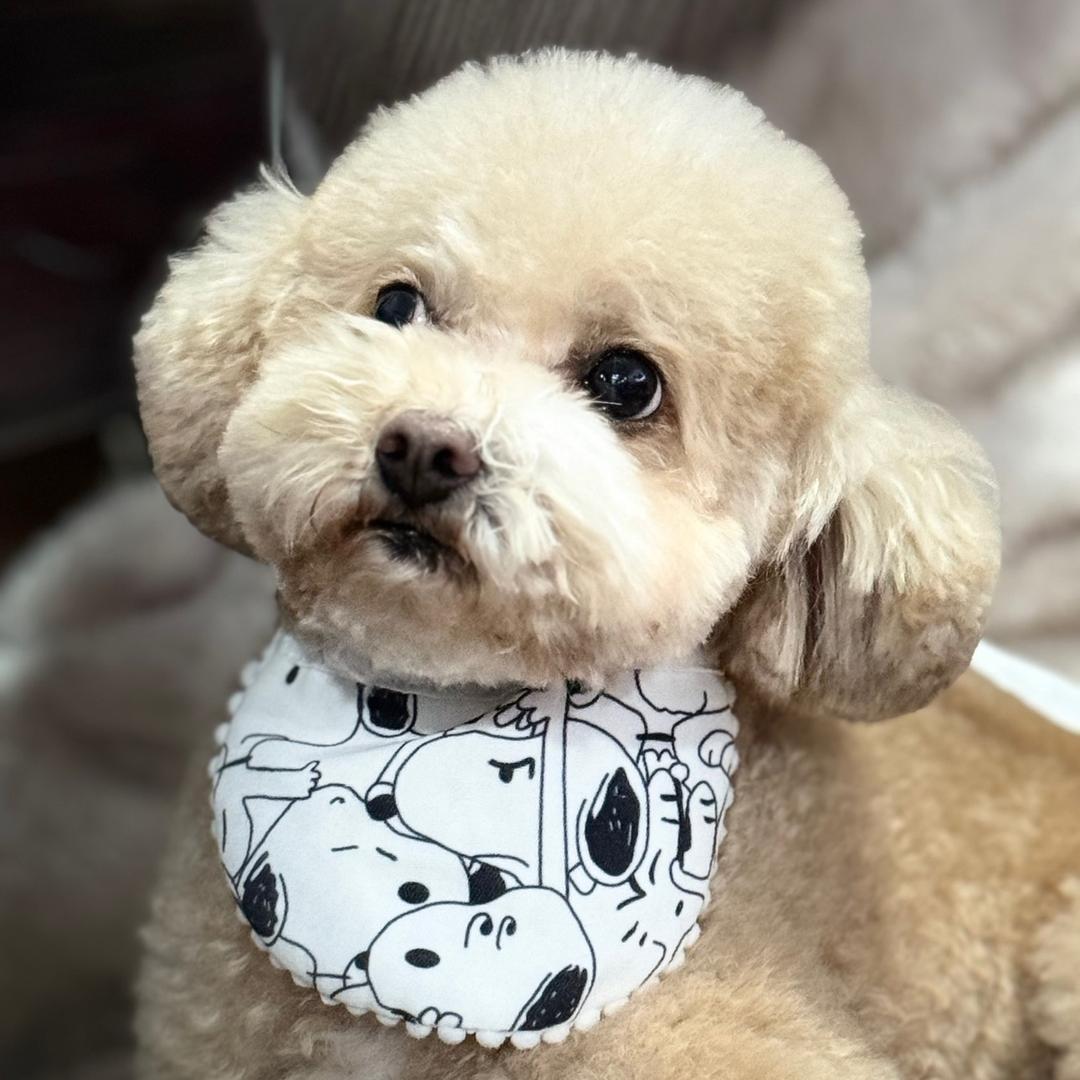 想啥就是啥
