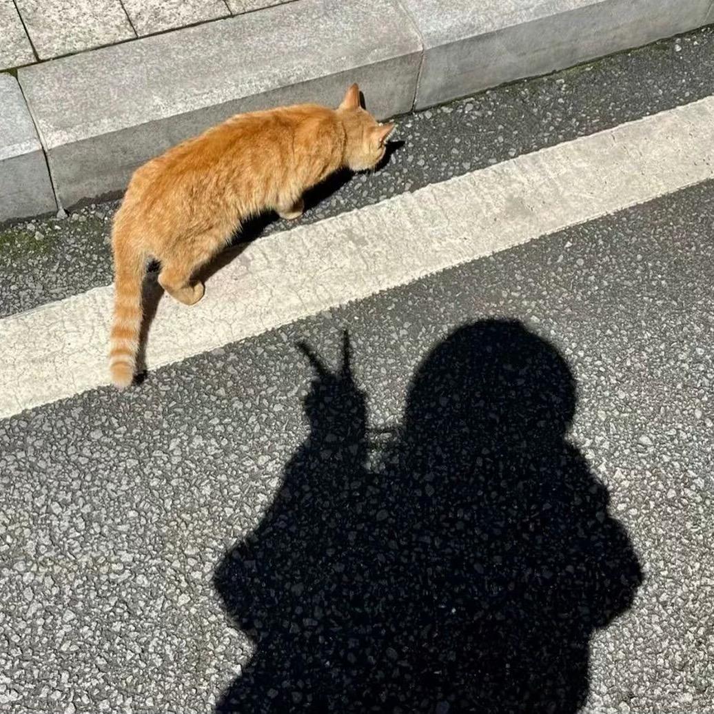 Boy-