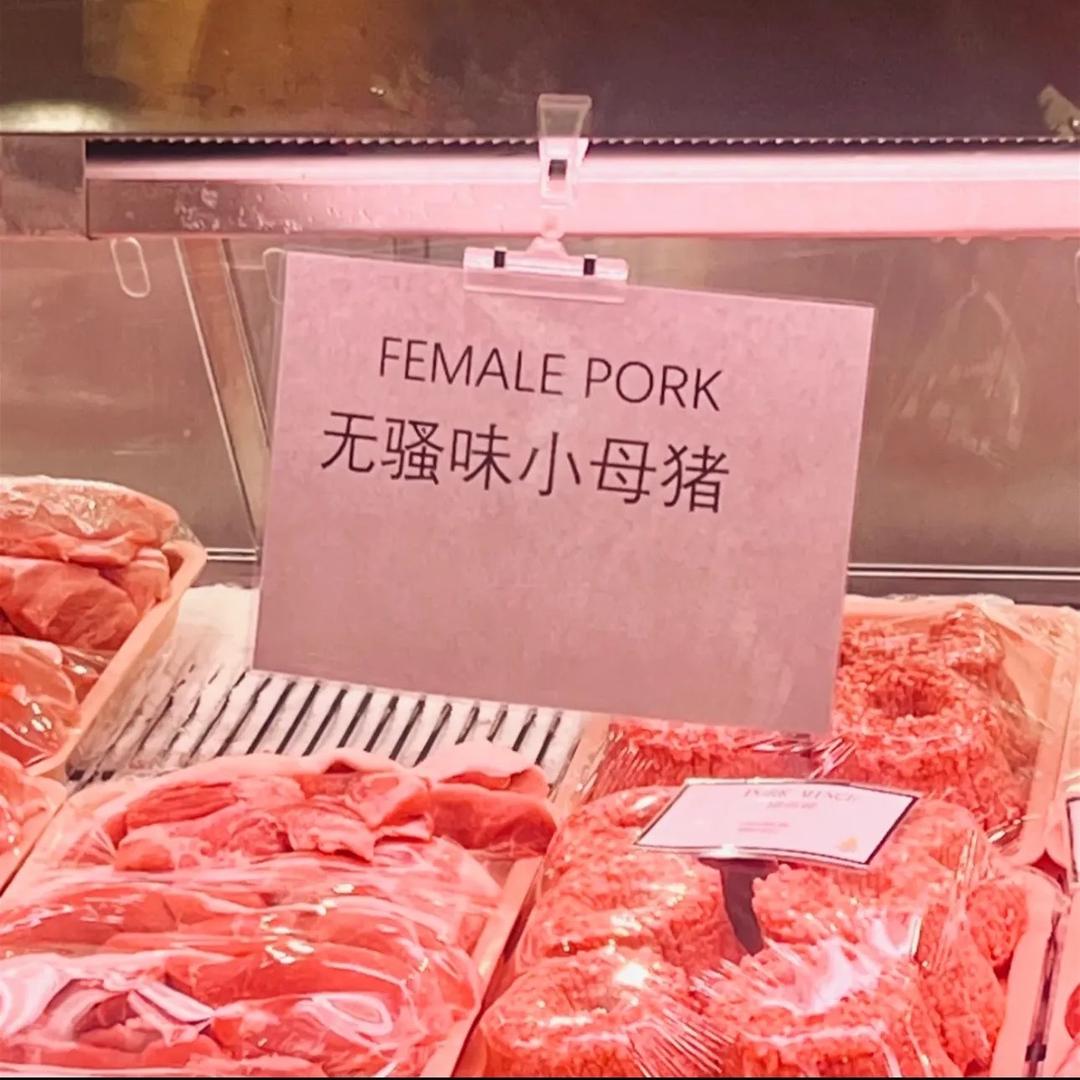 高西瓜（amapiano版）