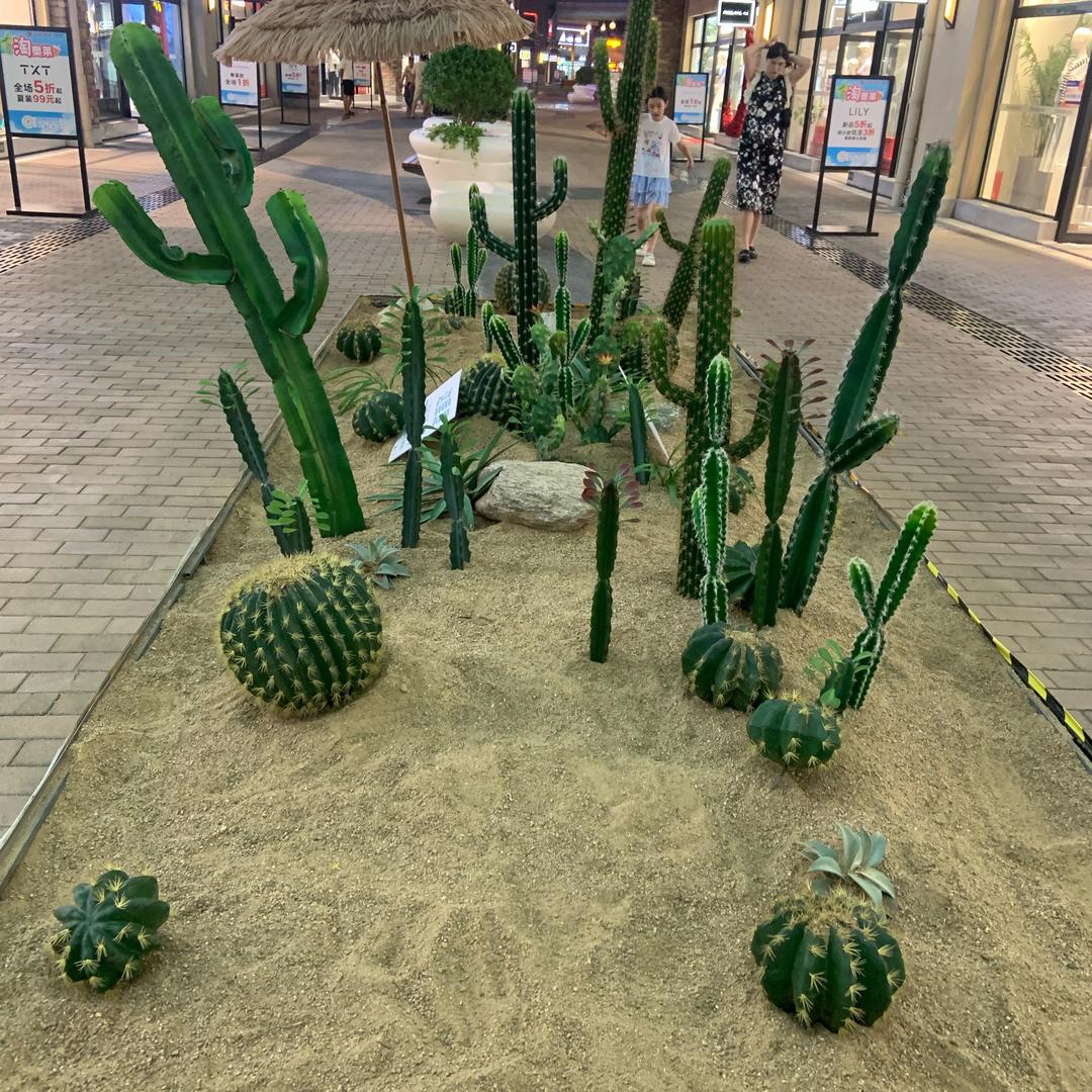 柠檬