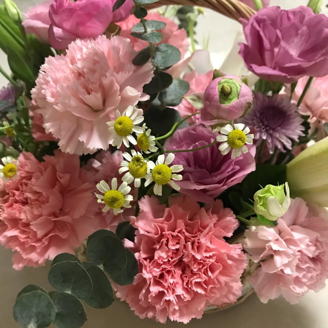 灯火阑珊🌸
