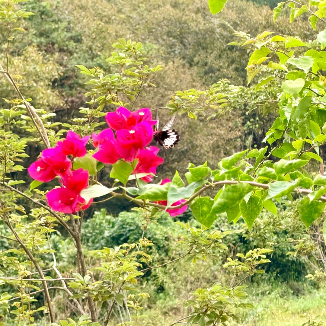 ✎﹏小苦瓜ᵒᴺᴱ