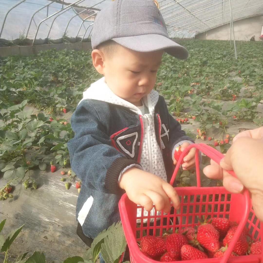 高冷