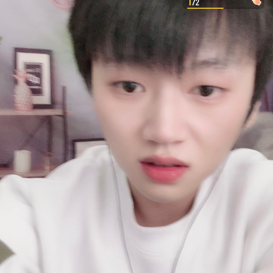 🌈一只小象吖
