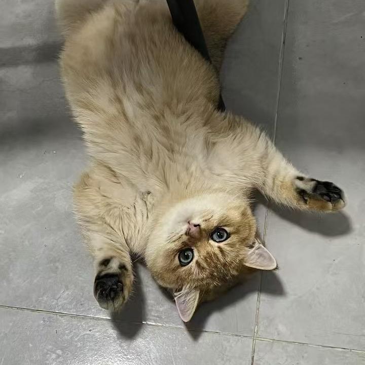 混的人