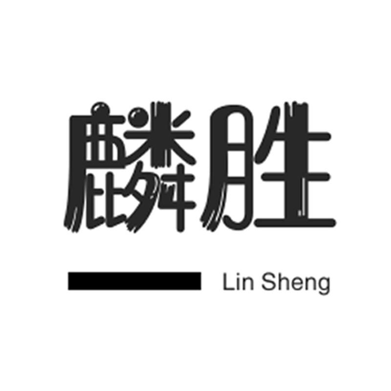 麟胜数码旗舰店