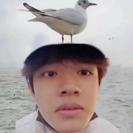 一吃就长胖