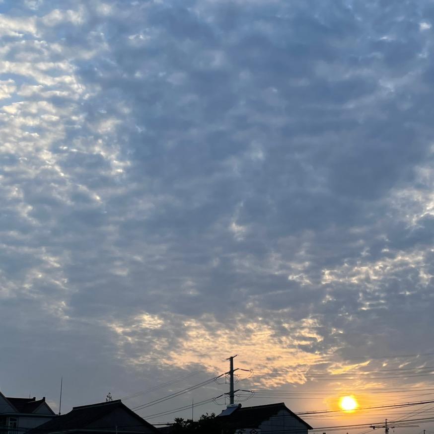 门缘