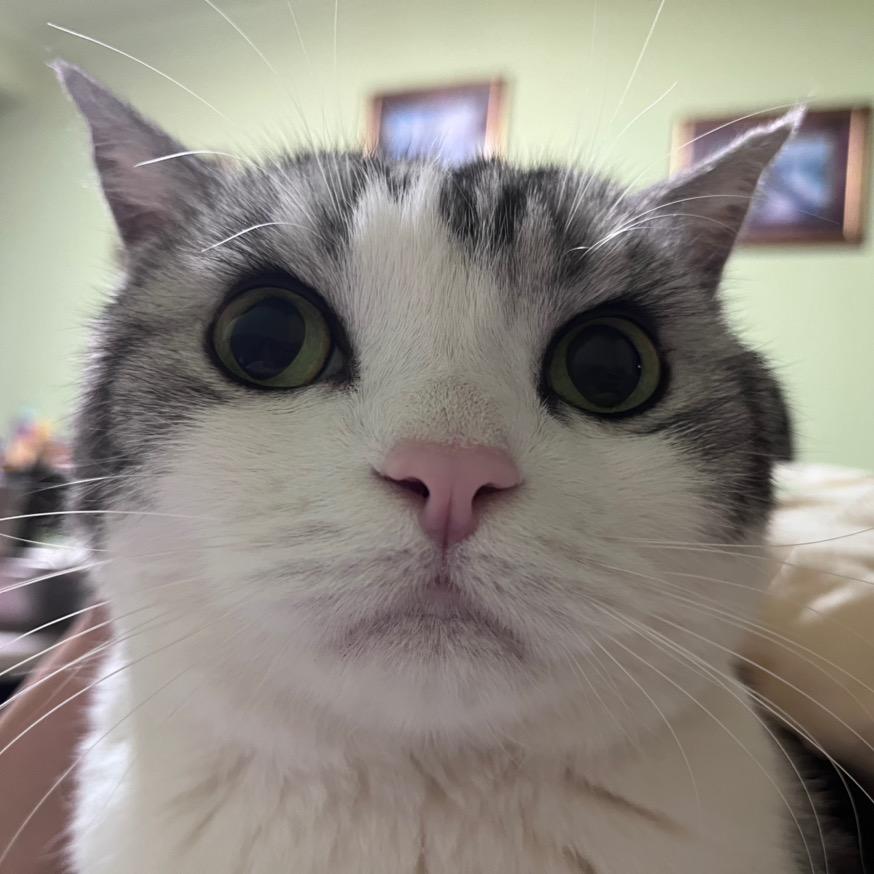 河北大风车-小崔