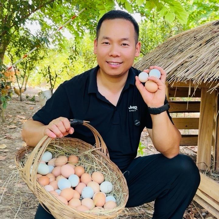 攀哥鸡蛋情报局