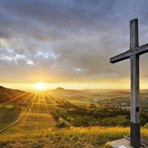 专业拆除门窗护栏等+回收