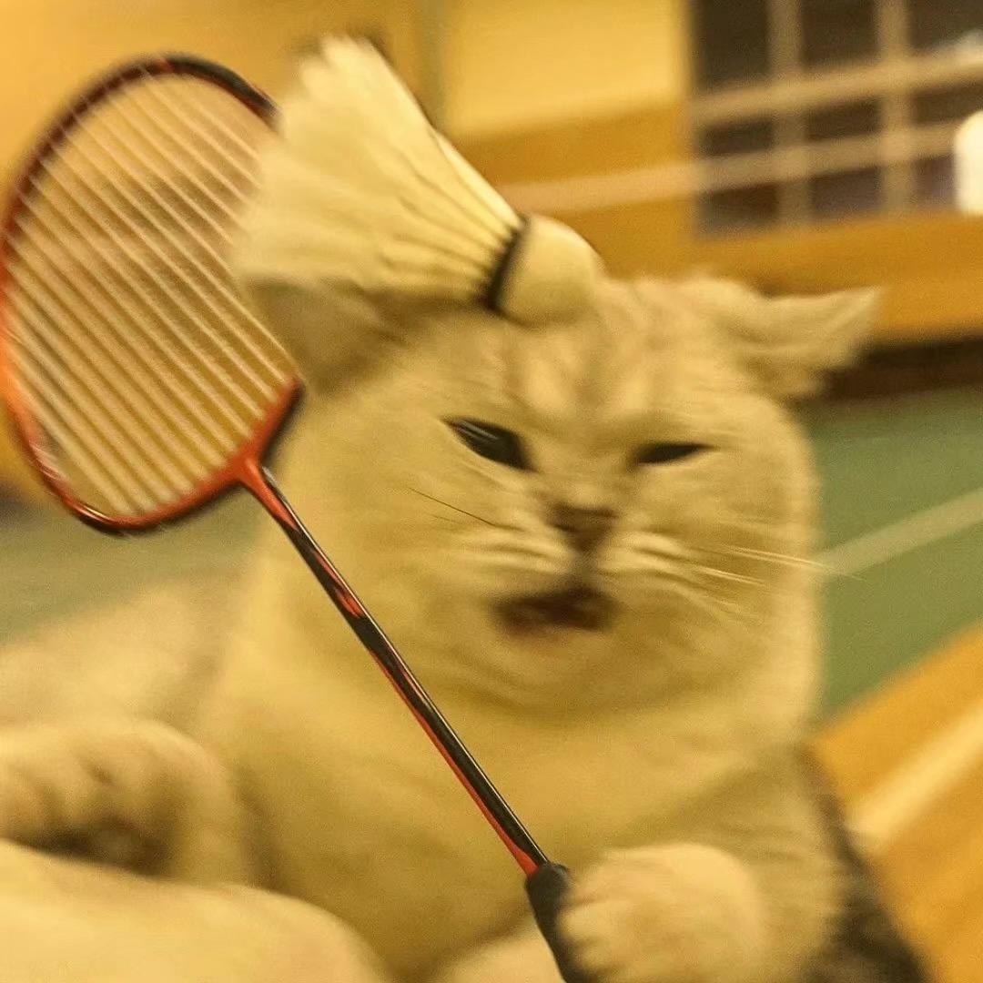 张大森啊