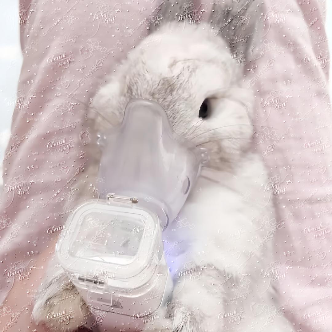 总之就是非常可爱
