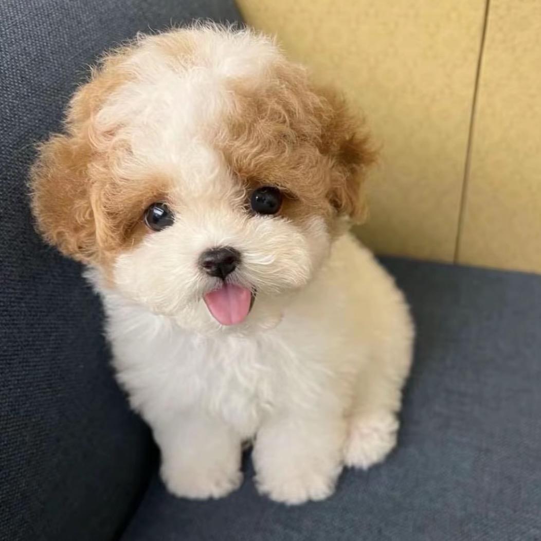 QQ内内好喝到咩噗🥤