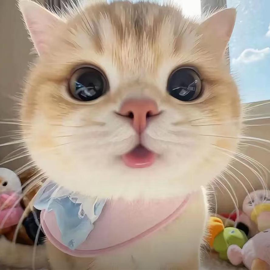 菲中百货