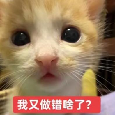 我又来了