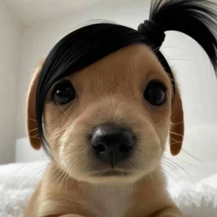 @慧慧.