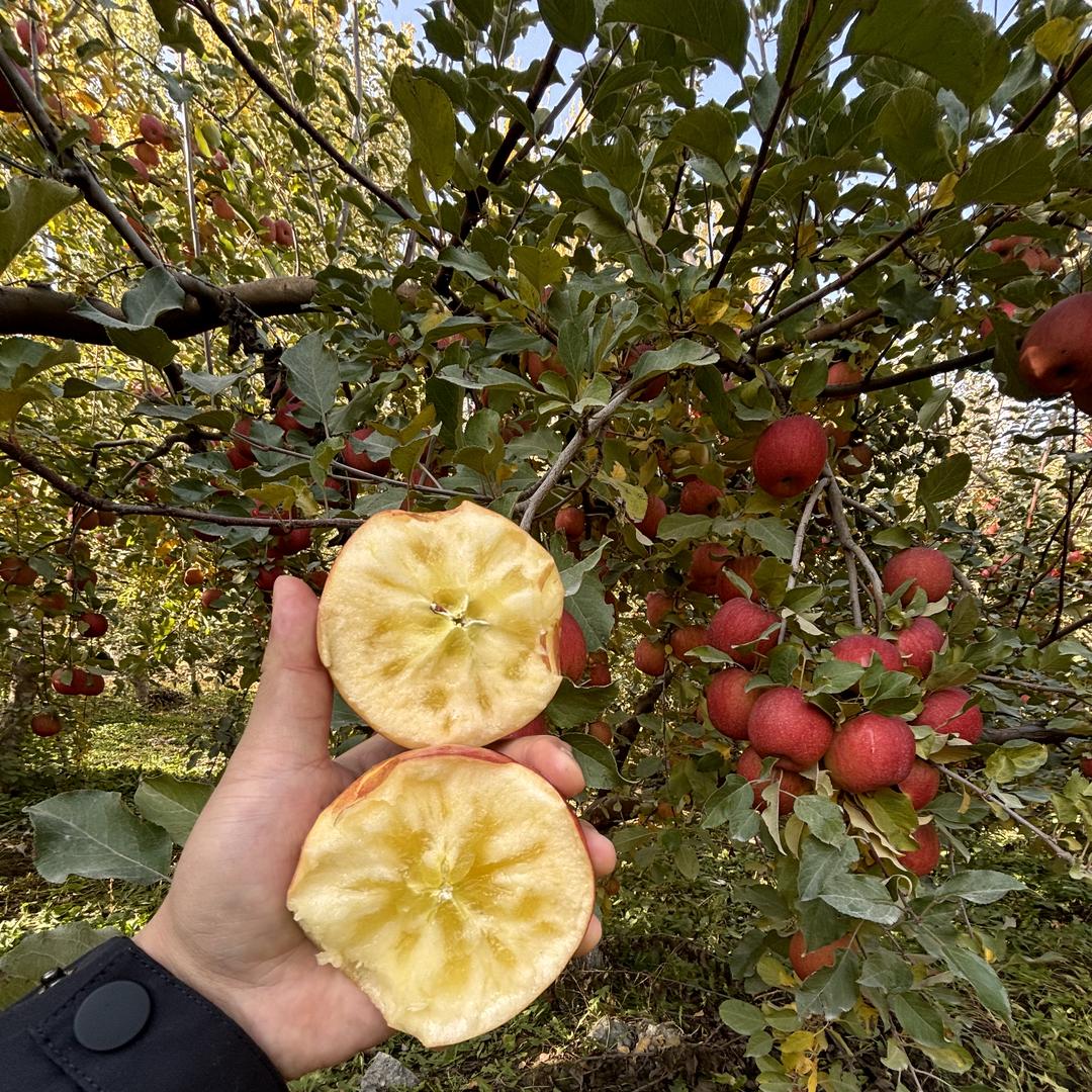 杨凌刨食百货生活坊