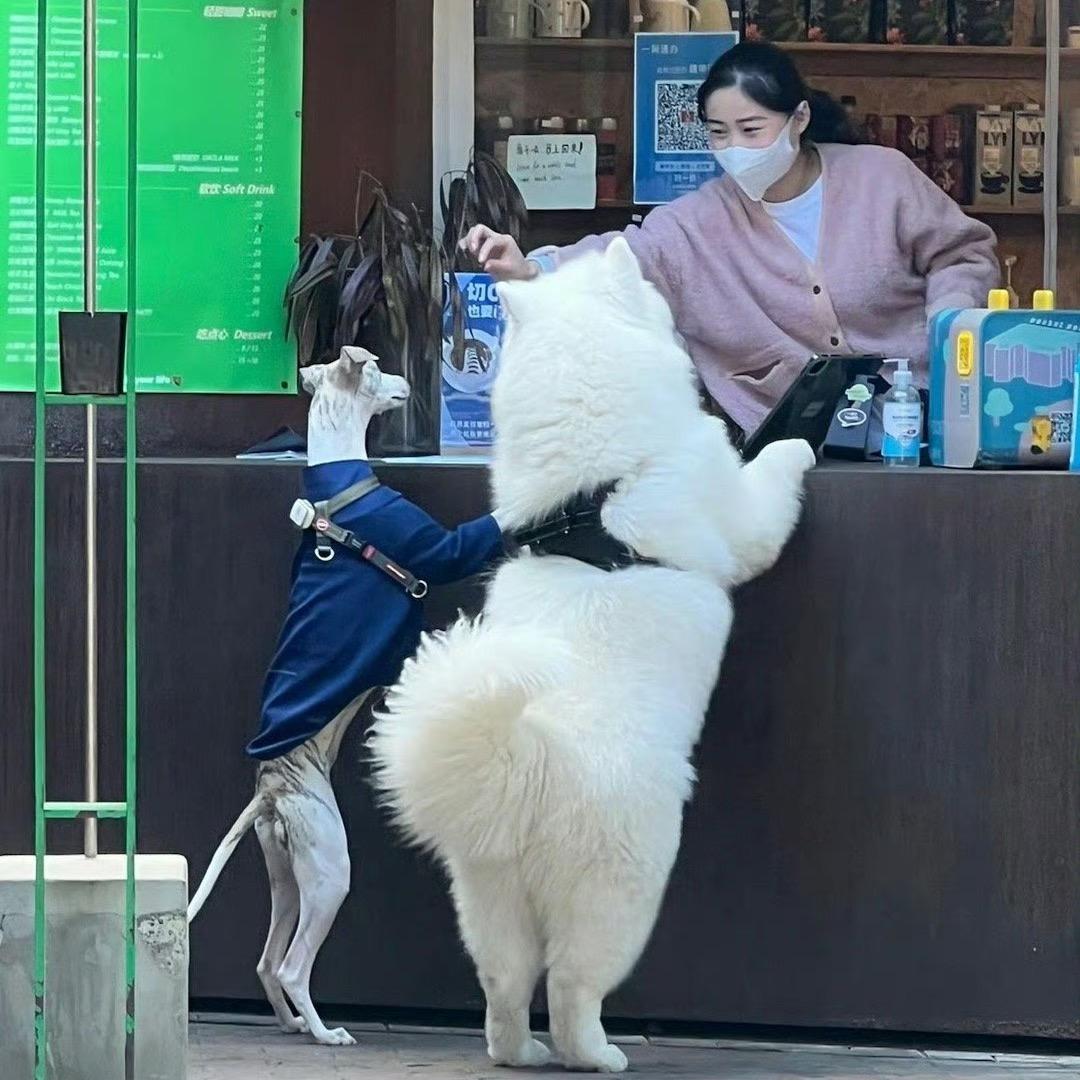 梦阿