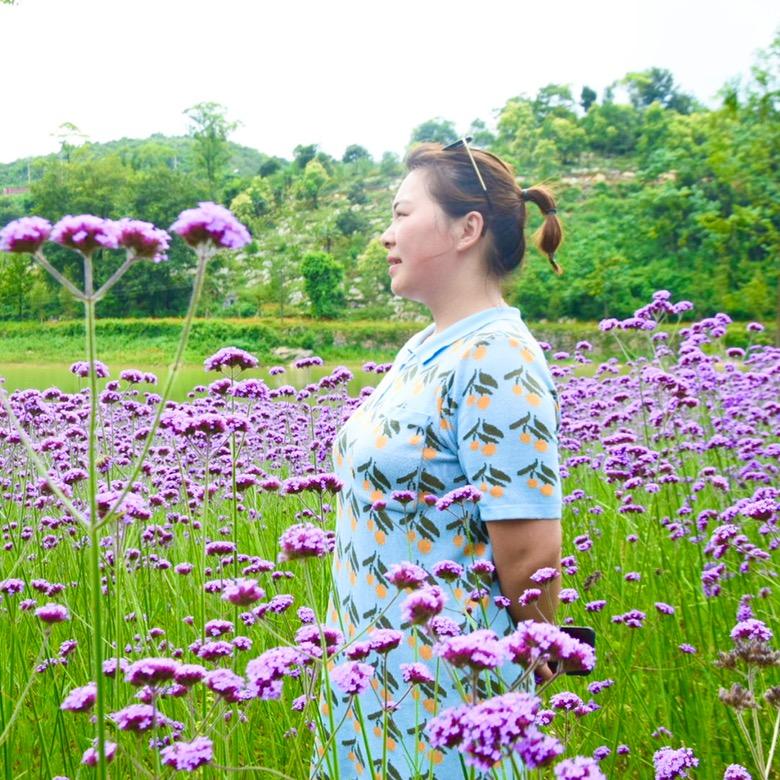 田姐吖