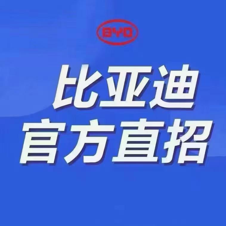 比亚迪招聘-郑州小郑