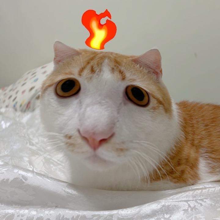 Soo