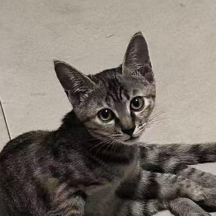 别为我担心，我有快乐和智慧的桨