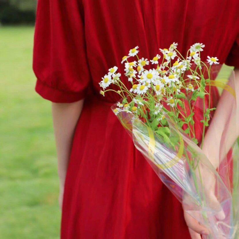 皖北花花